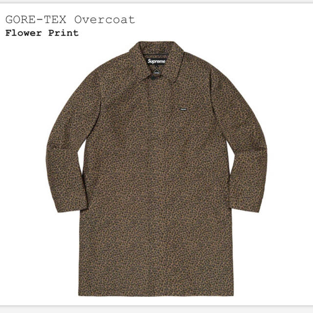 supreme GORE-TEX Overcoat 19aw northface