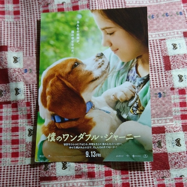 僕のワンダフル・ジャーニー  試写会  東京 チケットの映画(洋画)の商品写真