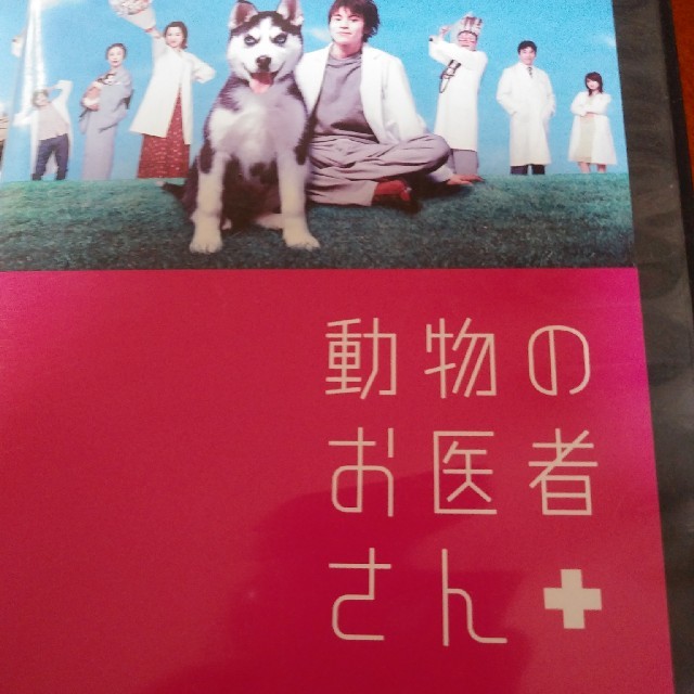 動物のお医者さん DVD ドラマ レンタル落ち 犬 動物 dvd チョビ