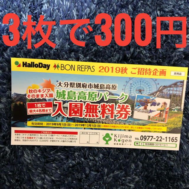 城島高原パークチケット チケットの施設利用券(遊園地/テーマパーク)の商品写真
