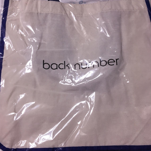 BACK NUMBER(バックナンバー)のback number バッグ エンタメ/ホビーのタレントグッズ(ミュージシャン)の商品写真