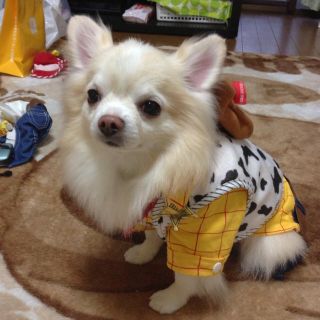 ディズニー(Disney)の犬の服(ペット服/アクセサリー)