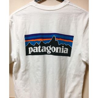 パタゴニア(patagonia)のpatagonia tシャツ(Tシャツ/カットソー(半袖/袖なし))