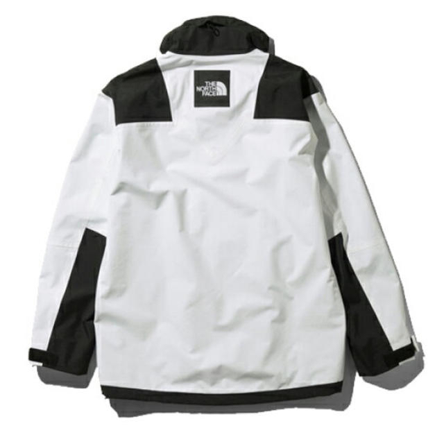 THE NORTH FACE RAGE GTX Shell Jacket 1