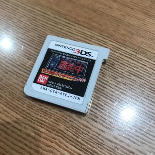 ニンテンドウ(任天堂)の3DS 逃走中(携帯用ゲームソフト)