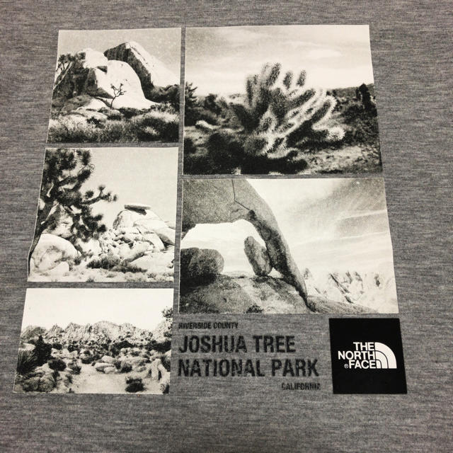 THE NORTH FACE(ザノースフェイス)の★★the north face ノースフェイス フォトロゴ Tシャツ メンズのトップス(Tシャツ/カットソー(半袖/袖なし))の商品写真