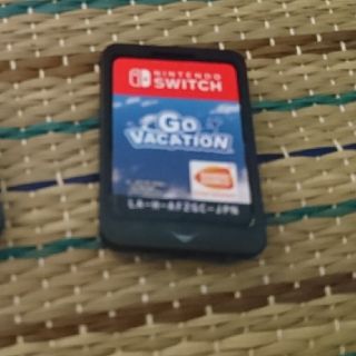 go vacation ニンテンドースイッチ ゴーバケーション(家庭用ゲームソフト)