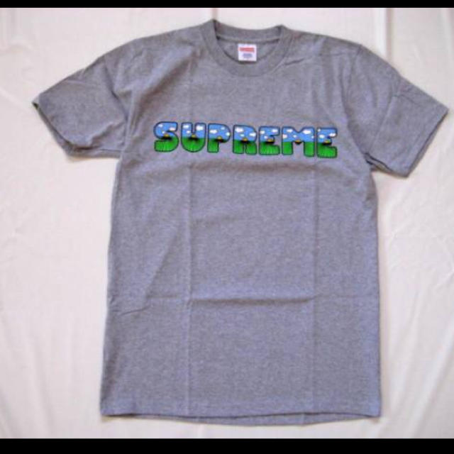 Tシャツ/カットソー(半袖/袖なし)L)Supreme Shit TeeシュプリームシットTシャツGrey
