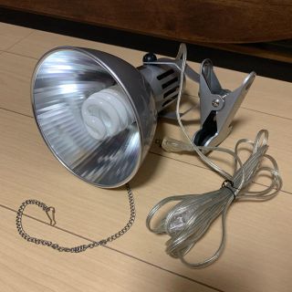 カミハタ ヴォルテス30w  ブルー球 (アクアリウム)