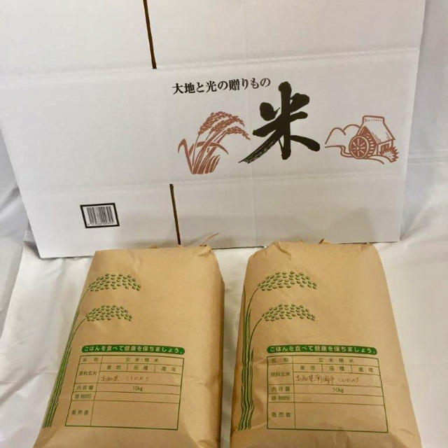 米/穀物新米❣️令和元年度 高知県産コシヒカリ 20kg 精米無料