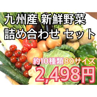 野菜詰め合わせ お得サイズ(野菜)