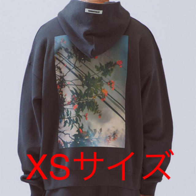 Essentials Photo Series Pullover Hoodie