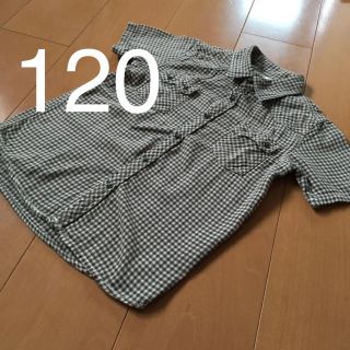 ハラッパ ブラウン シャツ ブラウス 男の子 女の子 120(ブラウス)