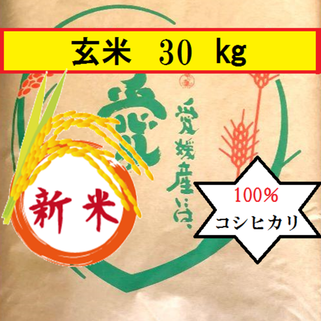 お米　令和元年　愛媛県産コシヒカリ　玄米　30㎏食品/飲料/酒