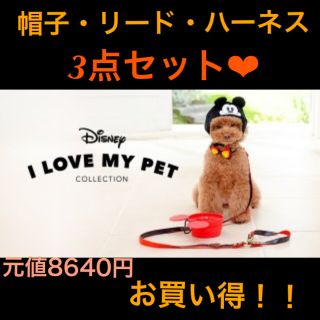 ディズニー　リード、ハーネス、帽子