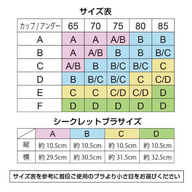 【Bカップ 】ドレスワンピも美盛りに♪ウィングシークレットブラ ヌーブラ レディースの下着/アンダーウェア(ヌーブラ)の商品写真