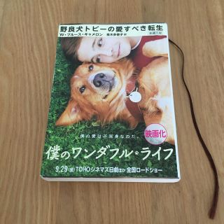 野良犬トビーの愛すべき転生(文学/小説)