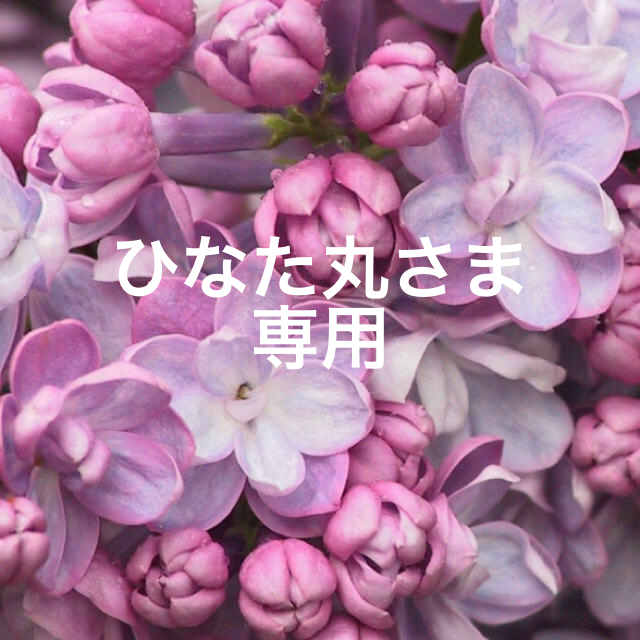 パネル ひなた丸さま 専用 - その他