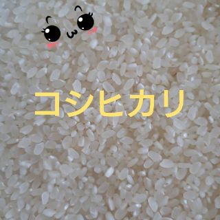 4日発送　30年茨城産コシヒカリ小粒米10kg(米/穀物)