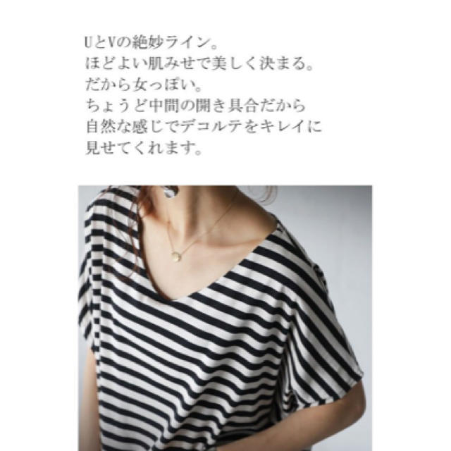 antiqua(アンティカ)のアンティカ  新品未使用 ★ボーダー レディースのトップス(Tシャツ(半袖/袖なし))の商品写真