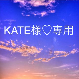 KATE様♡専用  カップスープ18個セット(インスタント食品)