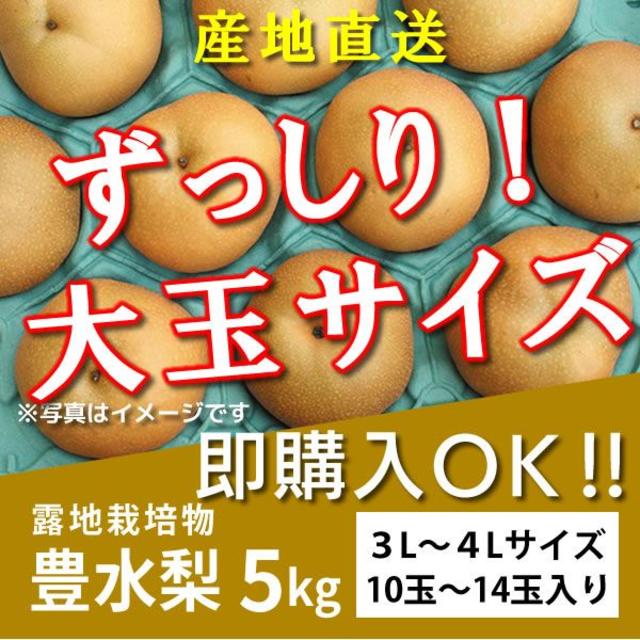 【大玉サイズ】朝もぎの豊水梨5kg☆【即購入OK！】 食品/飲料/酒の食品(フルーツ)の商品写真