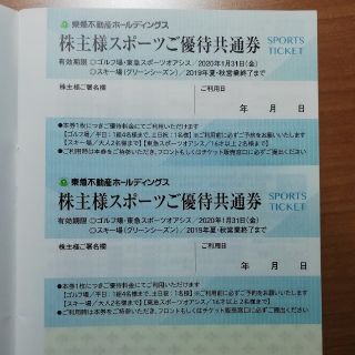 東急不動産ホールディングス　スポーツ優待　２枚(その他)