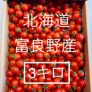 北海道・富良野産 ミニトマト 3キロ(野菜)