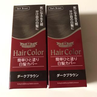 ドクターシーラボ(Dr.Ci Labo)のドクターシーラボ 簡単ひと塗り白髪カバー   10ml✖️2本(白髪染め)