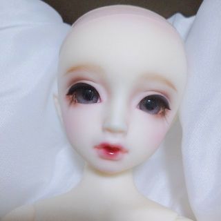 ボークス(VOLKS)のSDM F-20 ホワイト肌（フルチョイス）(人形)