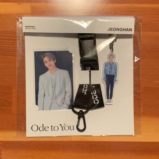 セブンティーン(SEVENTEEN)のジョンハン  ランヤード  Ode to You レンヤード(アイドルグッズ)