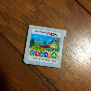 3DS どうぶつの森(その他)