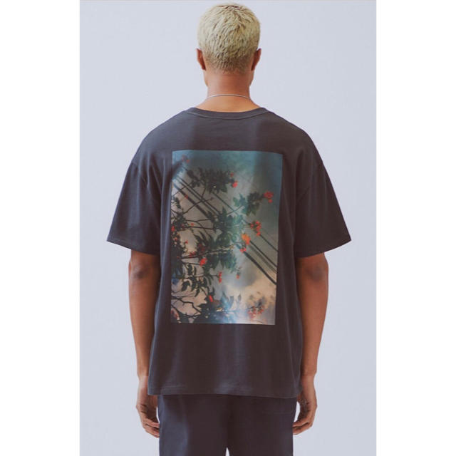 Lサイズ Essentials Photo Series tee