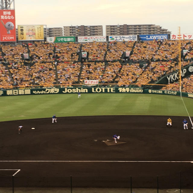 9月21日 甲子園 阪神vs広島  グリーン2席 通路側 チケットのスポーツ(野球)の商品写真