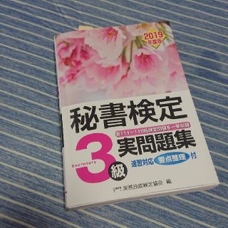 秘書検定　実問題集3級　2019年度版(ビジネス/経済)