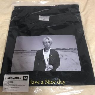 ジョンハン ode to you ソウルコン  Tシャツ seventeen