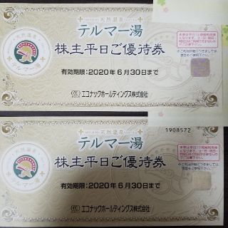 テルマー湯　平日優待券　2枚(その他)