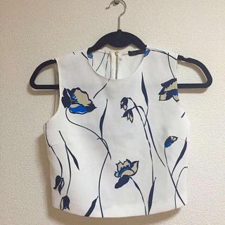 ザラ(ZARA)のZARA*花柄トップス(カットソー(半袖/袖なし))