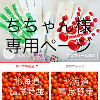 【ちちゃん様・専用】北海道・富良野産 ミニトマト ３キロ(野菜)
