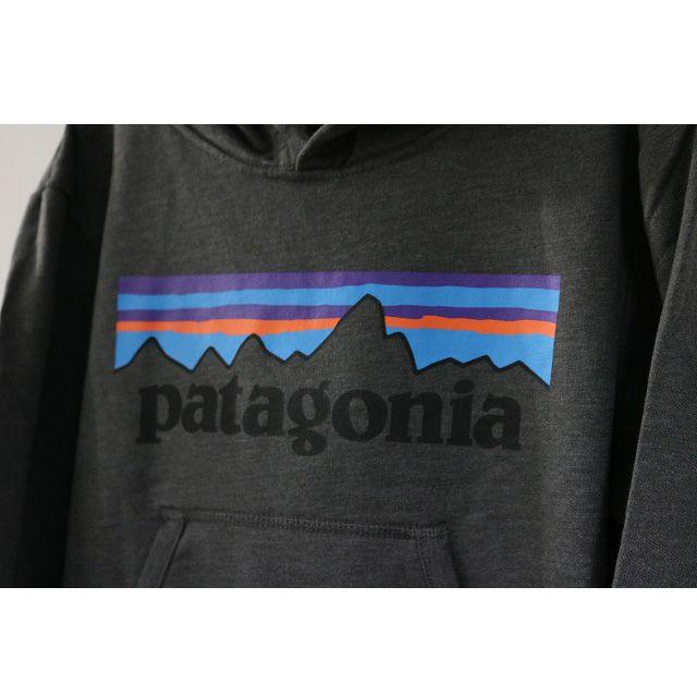 patagonia(パタゴニア)のパタゴニア新品パーカー メンズM レディースL グラフィック フーディ メンズのトップス(パーカー)の商品写真