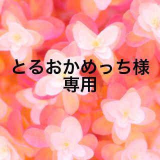 とるおかめっち様専用    (化粧下地)