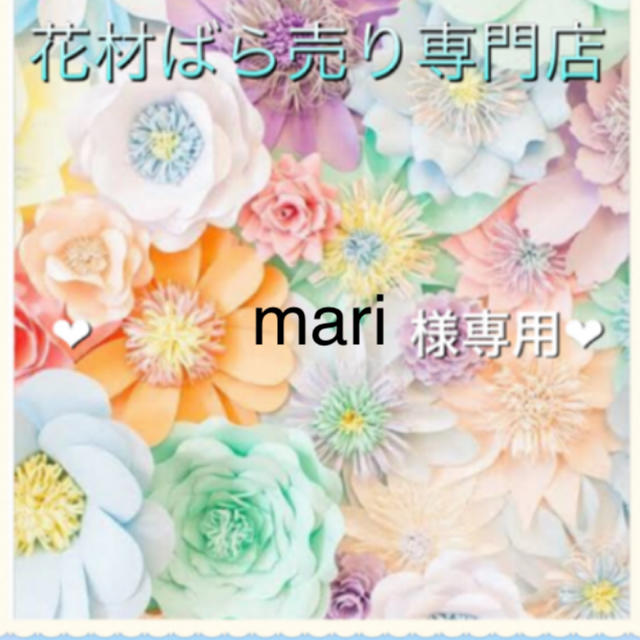 mari様専用 ハンドメイドのフラワー/ガーデン(ドライフラワー)の商品写真