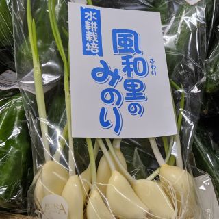 友芽にんにく＆きくらげ【osaka様専用】(野菜)