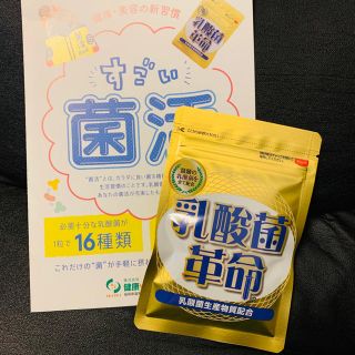 YUNA様専用 乳酸菌革命(その他)