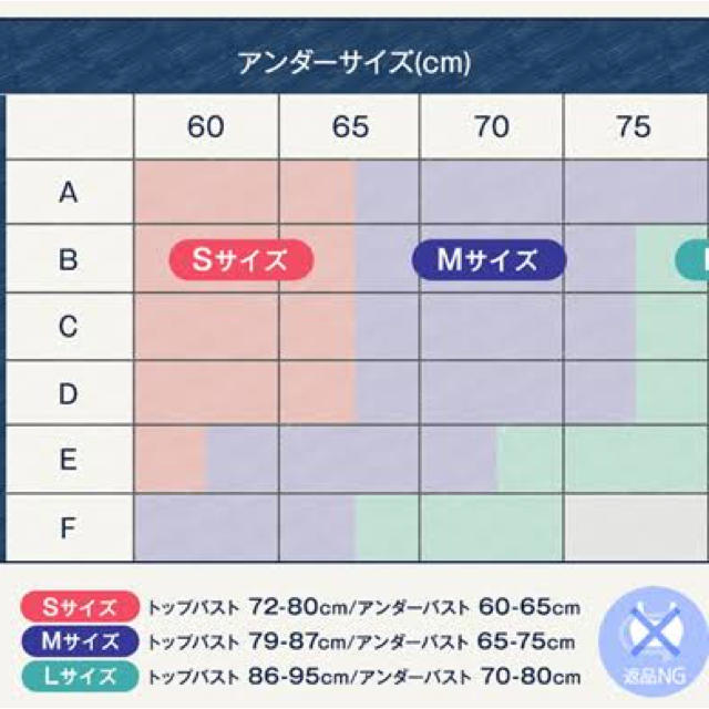 viage ナイトブラ レディースの下着/アンダーウェア(ブラ)の商品写真