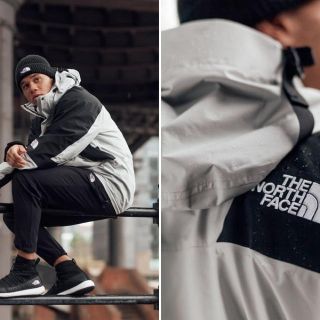 THE NORTH FACE - 海外限定 1994 マウンテンライトジャケット
