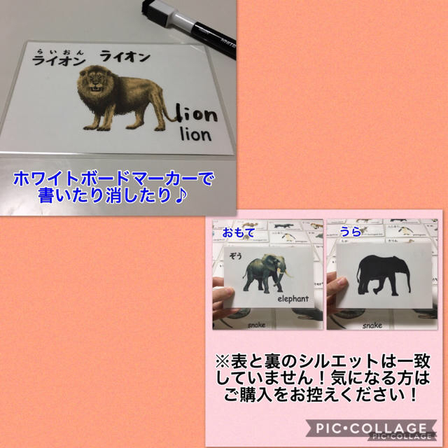 生き物フラッシュカード  26枚  ハンドメイド キッズ/ベビー/マタニティのおもちゃ(知育玩具)の商品写真