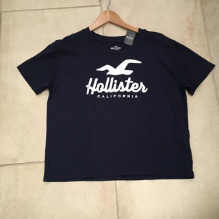 ホリスター(Hollister)のHOLLISTER ホリスター ロゴグラフィック アイコンアップリケTシャツ新品(Tシャツ(半袖/袖なし))