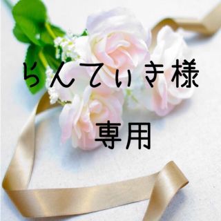 らんてぃき様専用 お米　令和元年　愛媛県産コシヒカリ　玄米　30㎏(米/穀物)
