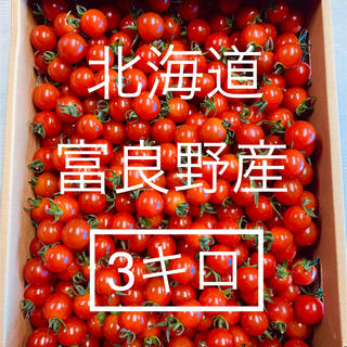 北海道・富良野産 ミニトマト 3キロ(野菜)